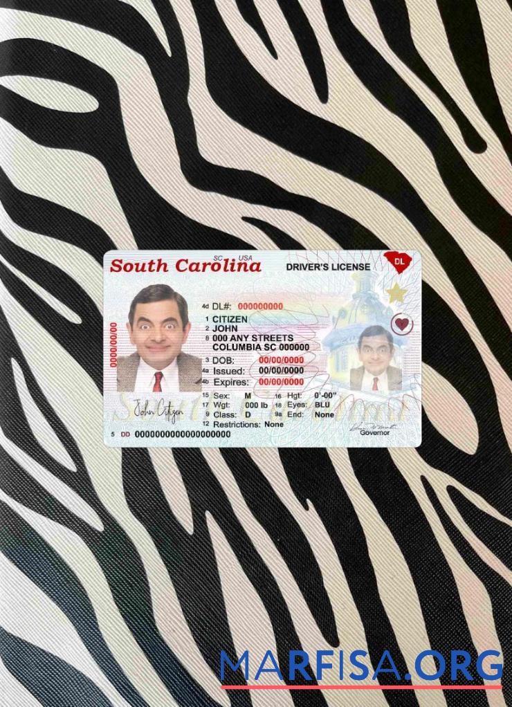 Realistic USA South Carolina state driving(2020 – present) photolook template